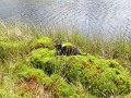 IMG_1832
