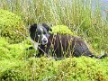 IMG_1833