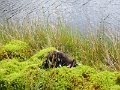 IMG_1834