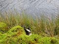 IMG_1835