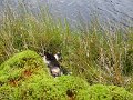 IMG_1836