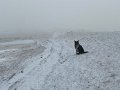 IMG_1907