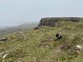 IMG_2515