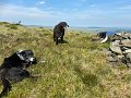 IMG_2564