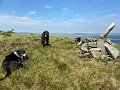 IMG_2565