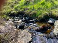 IMG_2572