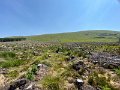 IMG_2577