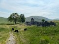 IMG_2591