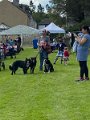 IMG_2800