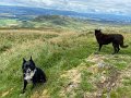 IMG_2827