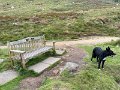IMG_2982