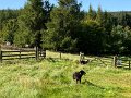 IMG_3009