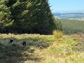 IMG_3012