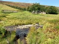IMG_3029