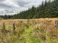 IMG_3439