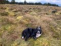IMG_3450