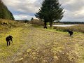 IMG_3455
