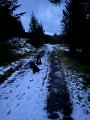 IMG_7977