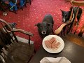 IMG_9569