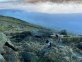 IMG_9581