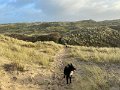 IMG_9674