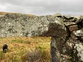 IMG_9741