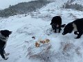 IMG_9796