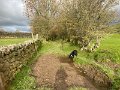 Slaggyford to Greenhead (1)