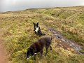 Slaggyford to Greenhead (3)