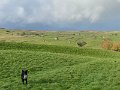Tan Hill to YHA (14)
