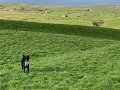 Tan Hill to YHA (16)