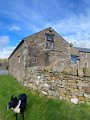 Tan Hill to YHA (25)