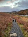 Tan Hill to YHA (32)