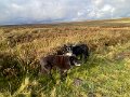 Tan Hill to YHA (6)