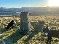Twelve Trigs (34)