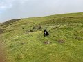 YHA to Lambley (12)