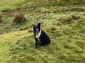 YHA to Lambley (13)