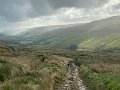 Hawes to Tan Hill (7)
