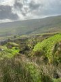 Hawes to Tan Hill (9)