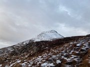 IMG_9459