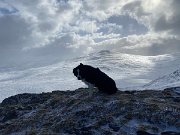IMG_9462