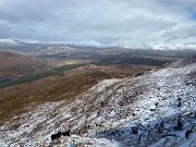 IMG_9469