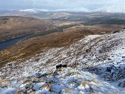 IMG_9470