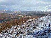 IMG_9471