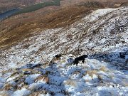 IMG_9475