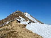 IMG_9562