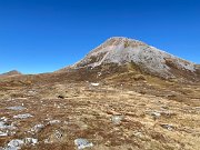 IMG_9565