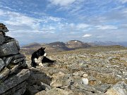 IMG_9581