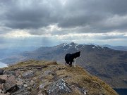 IMG_9585