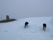 IMG_9590